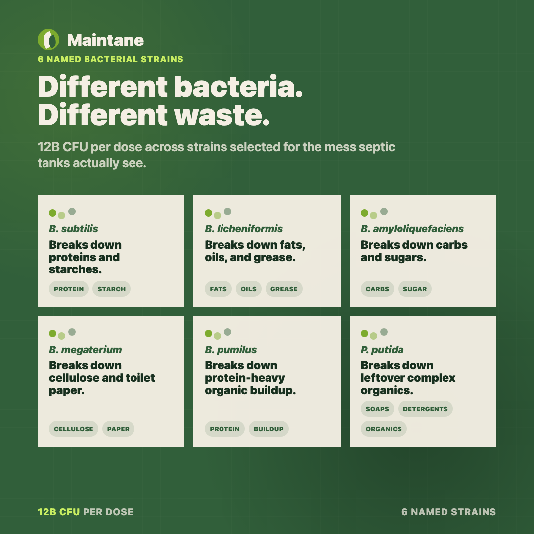 Maintane 2-Pack 12 Month Supply Natural Septic Treatment